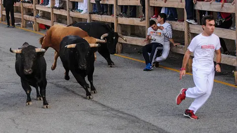 Cuarto enccierro de las fiestas de Sangüesa de 2017 con los novillos de Alcurruccen para los novilleros Toñete y El Dani. MIGUEL OSÉS_10