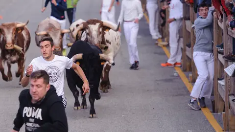 Último encierro de las fiestas de Sangüesa de 2017 con la ganadería salmantina de Juan Luis Fraile. MIGUEL OSÉS (11)