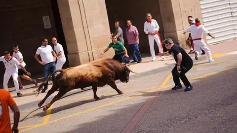 El inagotable toro ensogado de Eulogio Mateo recorre las calles de Lodosa en el Domingo de las Angustias. MIGUEL OSÉS (9)