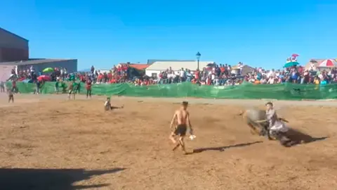 Un toro cornea mortalmente a un joven en Guadalajara
