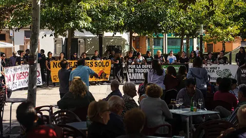 Concentración de antitaurinos en la Plaza de España de Lodosa para pedir la abolición del toro con soga. MIGUEL OSÉS (4)