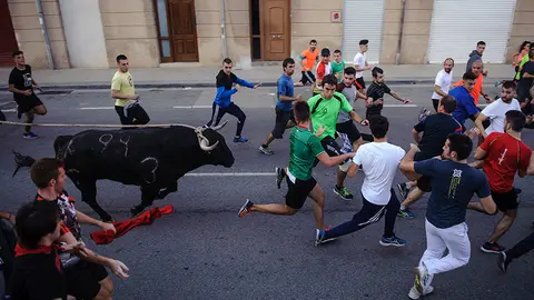 Último día del toro con soga 2017 en Lodosa con el hierro de Pincha. MIGUEL OSÉS (10)