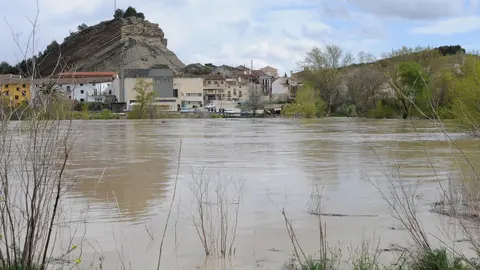 El río Aragón a su paso por Caparroso AMAYA LUQUI (6)