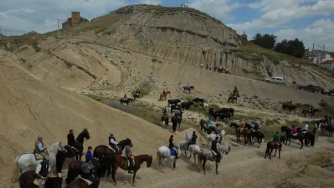 Navarra vive su tradicional día de la Trashumancia en Caparroso. AMAYA LUQUI (2)