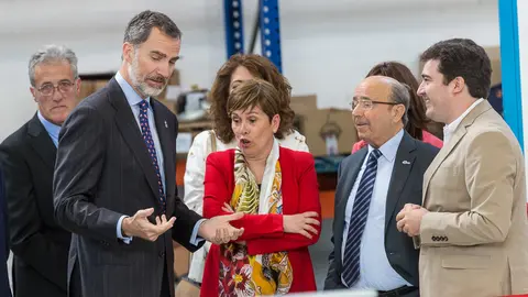 El Rey Felipe VI visita las instalaciones del grupo industrial MTorres (15). IÑIGO ALZUGARAY