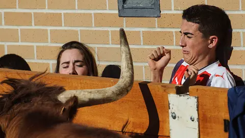 Las vacas de Arriazu visitan Orkoien en el último día de fiestas. MIGUEL OSÉS (17)