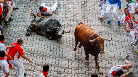 Un toro de Cebada Gago cae durante el tercer encierro de los Sanfermines 2018 EFE