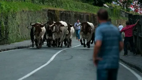 Encierrillo con la ganadería de Jandilla que será corrida y lidiada este viernes. MIGUEL OSÉS_12