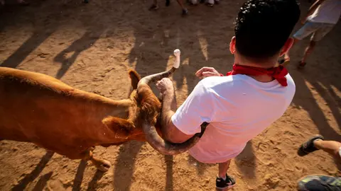 Últimas vaquillas de los sanfermines de 2018. MIGUEL OSÉS_5