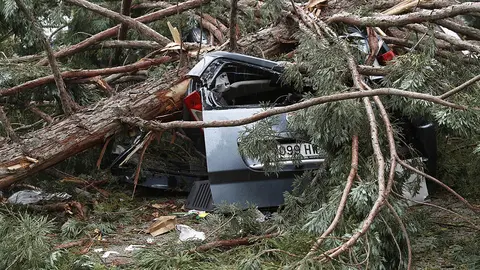 GRAF2806. PAMPLONA, 18/07/2018.- Una rama de grandes dimensiones de un abeto se ha caído y ha herido a varias personas, dos de ellas de gravedad, hoy en el campus de la Universidad de Navarra, en Pamplona. Según ha informado el Ejecutivo foral, el suceso se ha registrado esta tarde cuando un grupo de diez a doce personas se encontraba en el aparcamiento, tras salir de los comedores de la Universidad. EFE/Villar López
