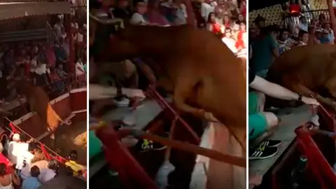 Secuencia completa del salto de una vaca de Arriazu en la plaza de Cadreita NAVARRACOM