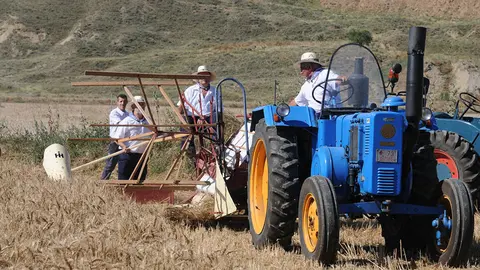Miranda de Arga celebra su tradicional Fiesta del Mundo Rural. AMAYA LUQUI (7)