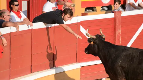 Vaquillas mañaneras tras el primer encierro de las fiestas de Santa Ana 2018 de Tudela. PABLO LASAOSA 02