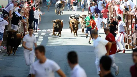 Segundo encierro de las fiestas de San Adrián de 201. MIGUEL OSÉS