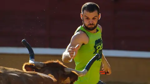 Vacas mañaneras tras el cuarto encierro de las fiestas de Tudela de 2018. MIGUEL OSÉS_13