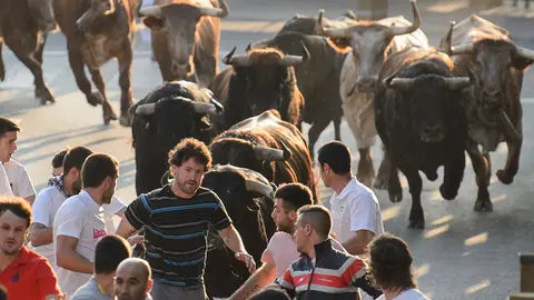 Penúltimo encierro de las fiestas de Tudela 2018. PABLO LASAOSA 02