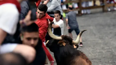 Último encierro mañanero de las fiestas de Estella de 2018. MIGUEL OSÉS (3)