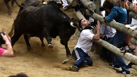 Quinto encierro de El Pilón de las fiestas de Falces de 2018. MIGUEL OSÉS (11)