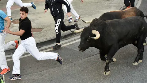 Cuarto encierro de las fiestas de Tafalla de 2018. MIGUEL OSÉS (5)