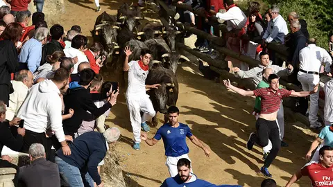 Séptimo encierro de El Pilón de Falces de 2018. MIGUEL OSÉS (6)