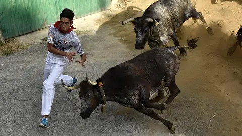 Séptimo encierro de El Pilón de Falces de 2018. MIGUEL OSÉS (10)