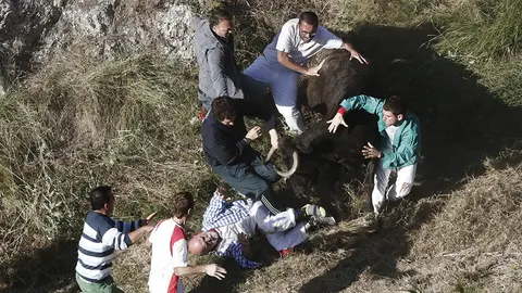 GRAF7587. PAMPLONA, 19/08/2018.- El último encierro del Pilón de Falces ha resultado accidentado con doce corredores atendidos por diversas heridas, dos de ellos por cornadas en los brazos, y ocho vacas escapadas por el monte. El encierro del Pilón, reconocido como Fiesta de Interés Turístico de Navarra, es una carrera de 800 metros que tiene como singularidad que discurre cuesta abajo con la montaña por un lado y el barranco por otro. EFE/Jesús Diges