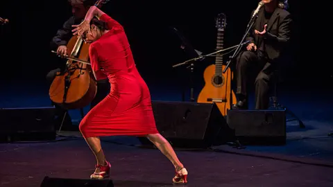 Actuación de Mayte Martín y Belén Maya en Baluarte dentro del ciclo grandes conciertos del festival Flamenco On Fire. FLAMENCO ON FIRE (6)