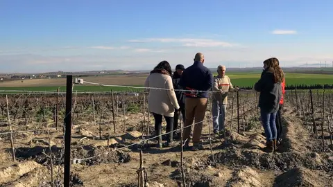 Fotograma del cortometraje 'Las podas olvidadas'