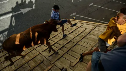 Últimas vacas de las fiestas de Noain de 2018. MIGUEL OSÉS_11