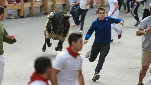 Encierro en Peralta con la ganadería de la Condessa de Sobral. MIGUEL OSÉS_2