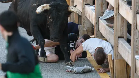 Cuarto encierro de las fiestas de Sangüesa de 2018. MIGUEL OSÉS_3