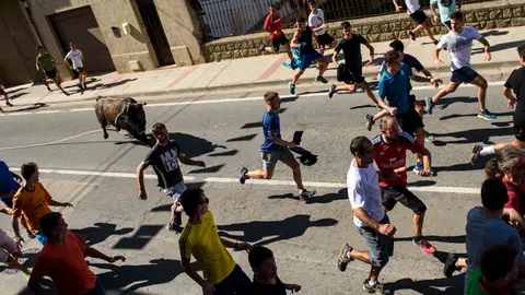 Toro con Soga en Lodosa el sabado de las Angustias por la mañana. MIGUEL OSÉS_5