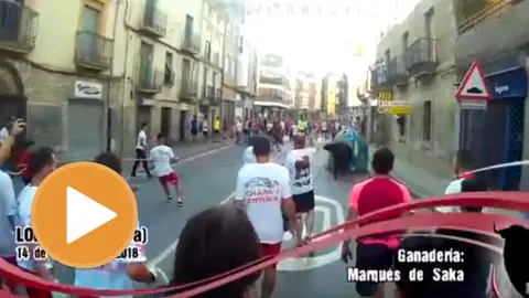 Un toro se enzarza contra un contenedor de vidrio en Lodosa YOUTUBE