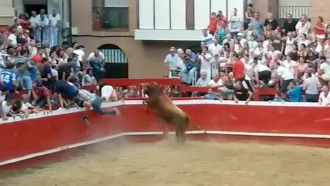 Un toro de la ganaderñia de Arriazu ha saltado desde la plaza y ha conseguido escapar por las calles de la localidad