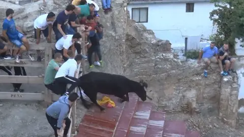 Imagen de una de las vacas de la ganadería Iñiguez que ha puesto en apuros a un joven que se encontraba junto al vallado en el encierro del Estrecho de Arguedas Foto YOUTUBE ISIDRO ESPADA