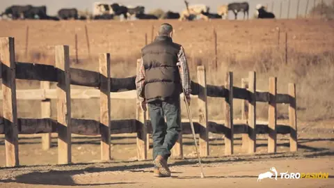 Fotograma del vídeo de Toropasión del regreso del mayoral Carlos Martínez a la finca