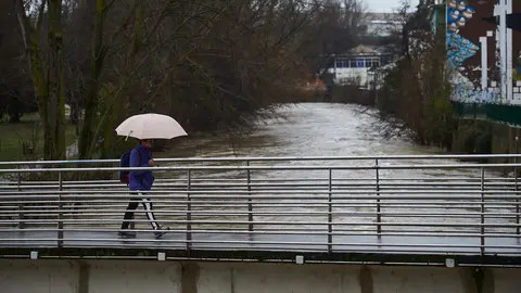 El rio Ulzama con un gran caudal a su paso por el Batán de Villava. MIGUEL OSÉS (7)