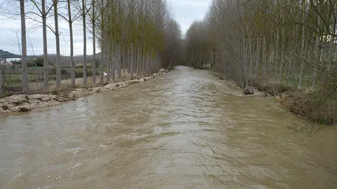 Vista de la crecida del río Ega desde el puente de Murieta.
