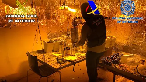 Imágenes del dinero y la droga incautada en la operación Piperrak-Príncipe que ha desmantelado en Navarra el mayor laboratorio de speed de España GUARDIA CIVIL 2