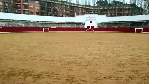 La plaza de toros de Estella, convertida en pipicán, vacía