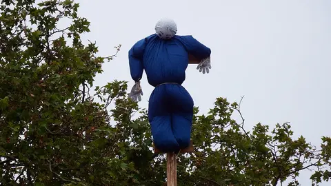 El mayo clavado en lo alto del chopo