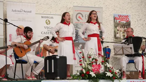 Imágenes de algunos participantes en el quinto certamen de jotas San Ramón Nonato en Pitillas, que ha alcanzado récord de participación IMÁGENES CEDIDAS2