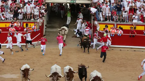 Llegada de los Cebada Gago a la plaza de toros en el segundo encierro de las fiestas. Alejandro Velasco-5