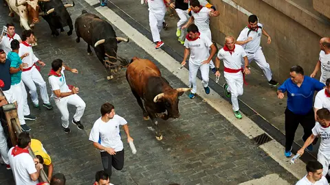 Séptimo encierro de las fiestas de San Fermín de 2019 con toros de la ganadería de La Palmosilla en el tramo del Ayuntamiento. MIGUEL OSÉS