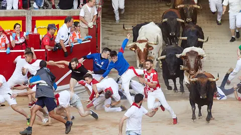 Séptimo encierro de los Sanfermines de 2019 con la ganadería de La Palmosilla en el interior de la Plaza de Toros de Pamplona. IÑIGO ALZUGARAY