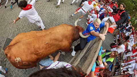 Los toros de la ganadería sevillana de Miura, a su paso por el tramo de Telefónica, durante el octavo y último encierro de los Sanfermines 2019. EFE/Daniel Fernández