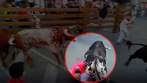 Primer encierro de fiestas de Tudela protagonizado por los novillos de la ganadería lodosana de Pincha NAVARRACOM (2)