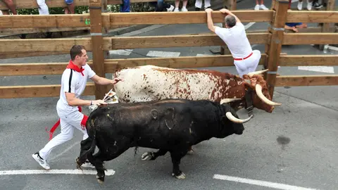 Encierro de las fiestas de Santa Ana 2019 en Tudela con la ganadería de La Palmosilla. ELSA A BRAVO