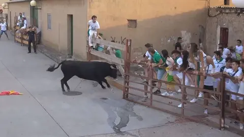 Imagen del toro que ha partido un vallado en Valverde y ha provocado un momento de pánico entre los jóvenes que presenciaban el encierro Foto ISIDRO ESPADA