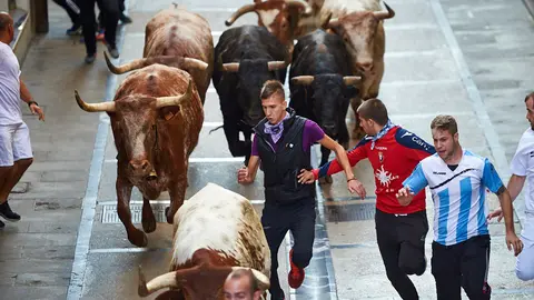 Primer encierro de novillos de las fiestas de Estella de 2019 con la ganadería de Macua. MIGUEL OSÉS